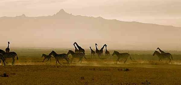 4-Day Mid-Range Ol Pejeta Safari