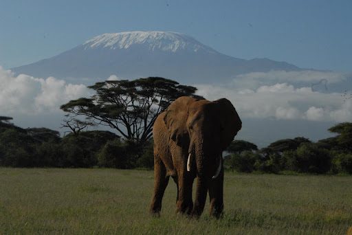 Mount Kenya National Park