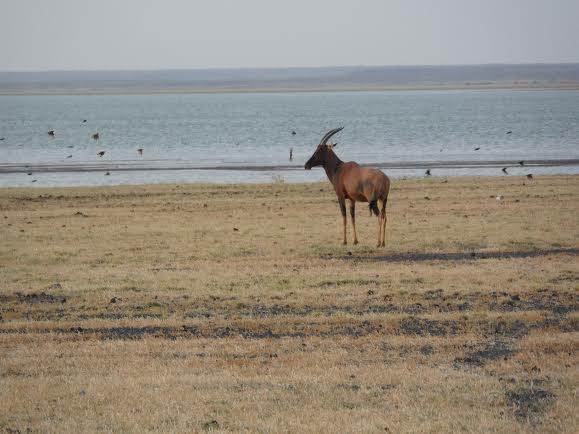 Sibiloi National Park: The Cradle of Humankind