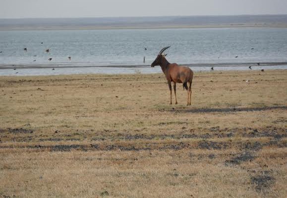 Sibiloi National Park