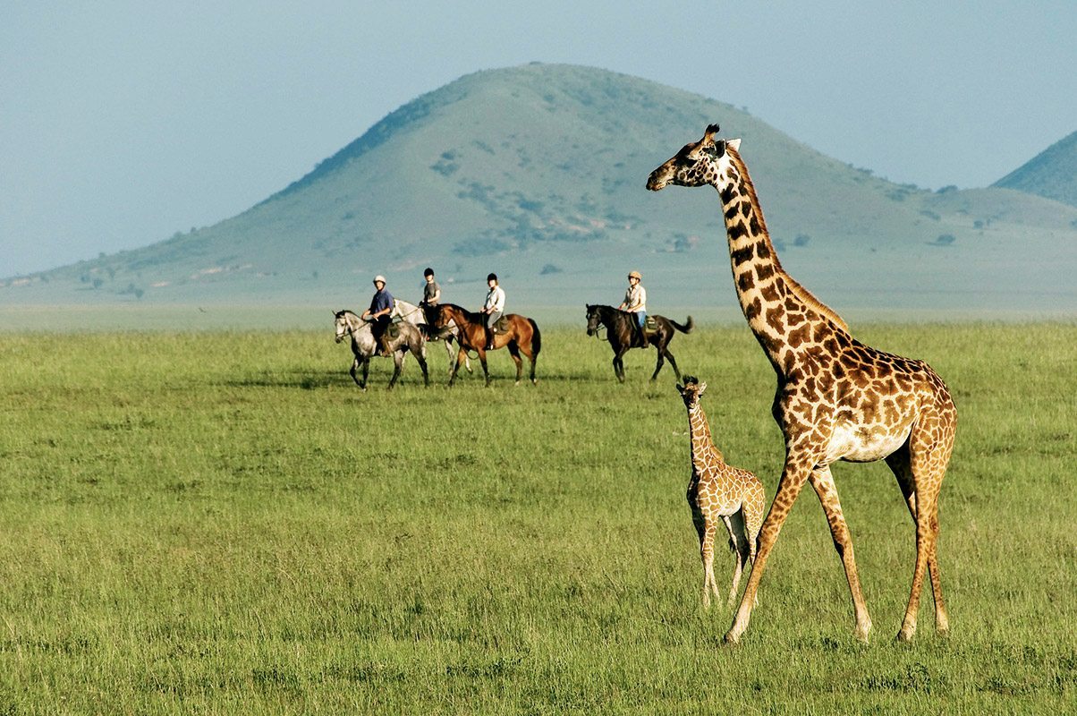 Chyulu Hills National Park: A Volcanic Wonderland