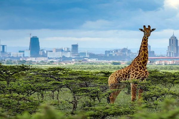 Nairobi National Park